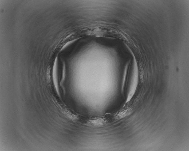 X0000067920466200605041713