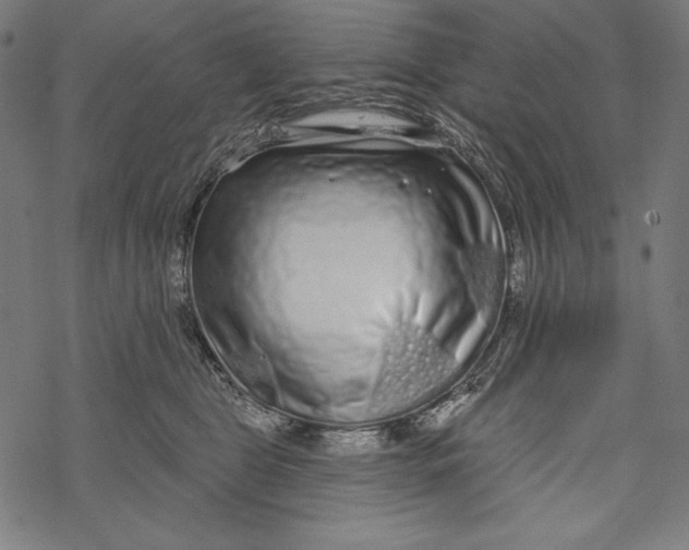 X0000067920469200605041713