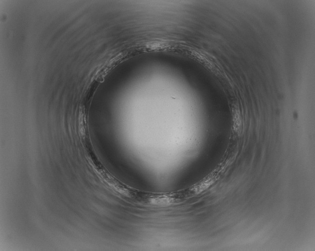 X0000067920470200605041713