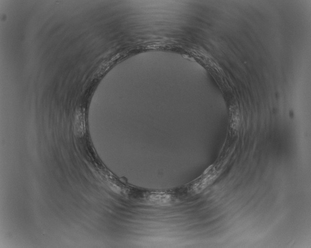 X0000067920471200605041713