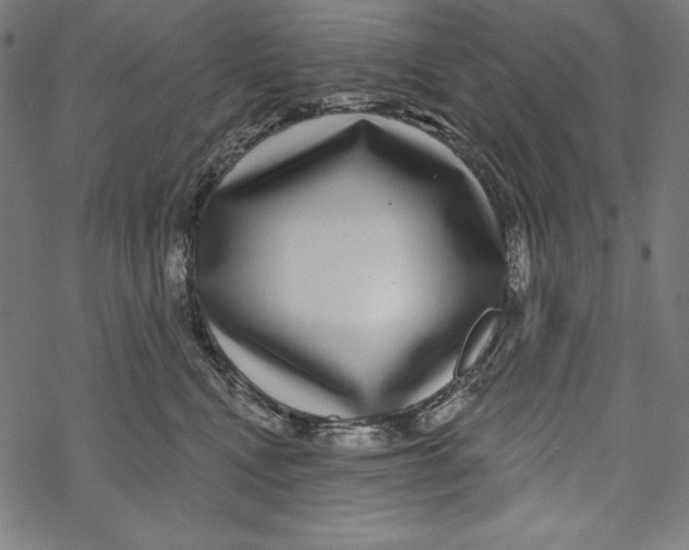 X0000067920472200605041714