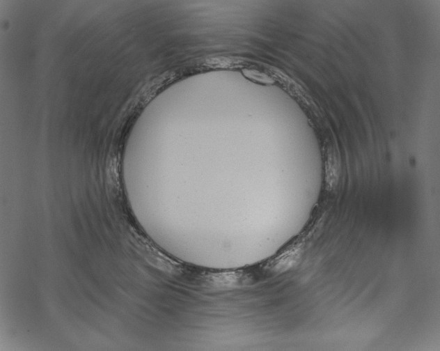 X0000067920473200605041714