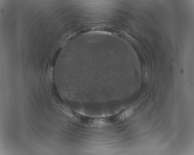 X0000067920475200605041714