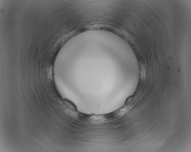 X0000067920477200605041714