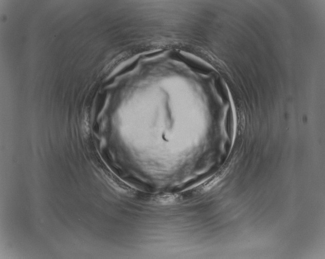 X0000067920479200605041714
