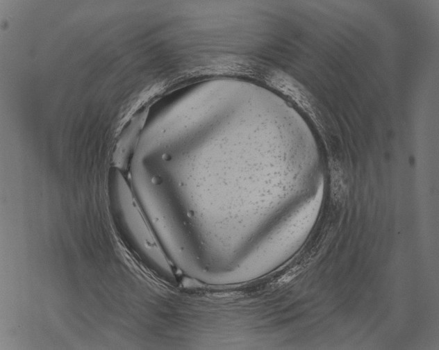 X0000067920482200605041713