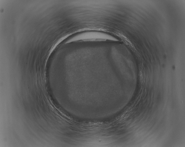 X0000067920484200605041713