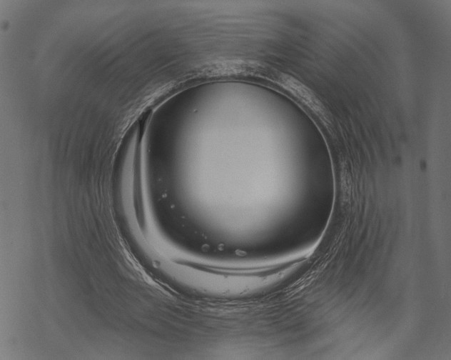 X0000067920485200605041713