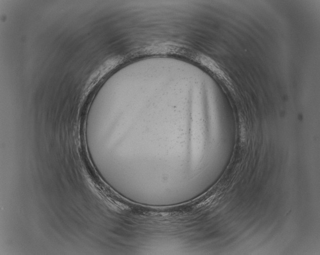 X0000067920486200605041713