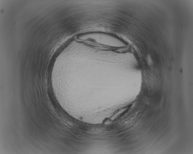 X0000067920487200605041713