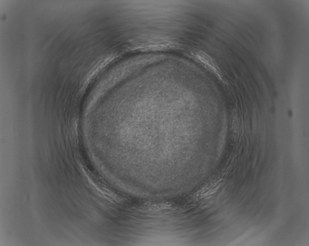 X0000067920491200605041713
