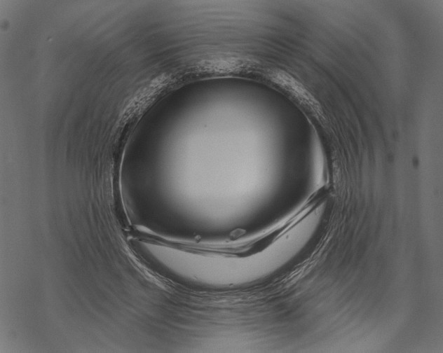 X0000067920493200605041713