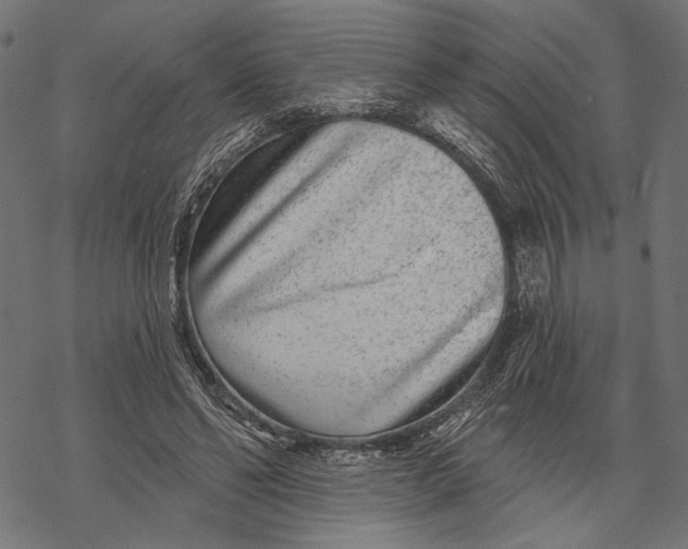 X0000067920494200605041713
