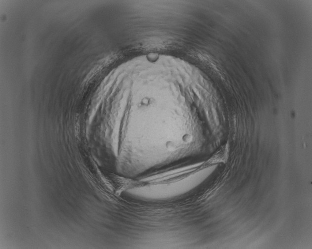 X0000067920495200605041713