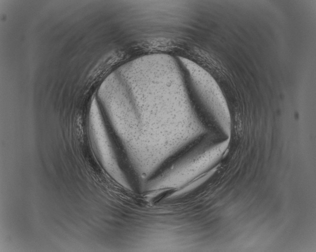 X0000067920506200605041712
