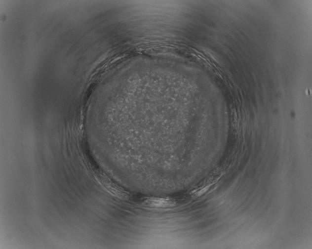 X0000067920507200605041712