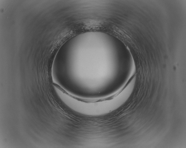 X0000067920508200605041712