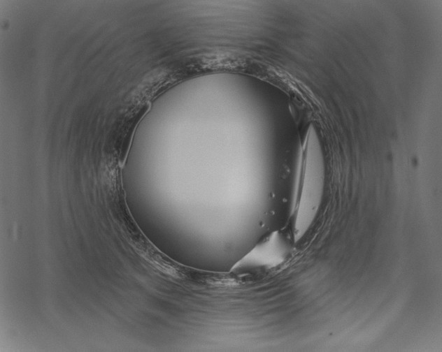 X0000067920513200605041712