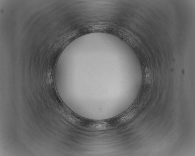 X0000067920514200605041712