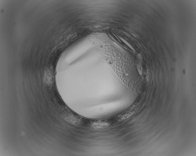 X0000067920515200605041712