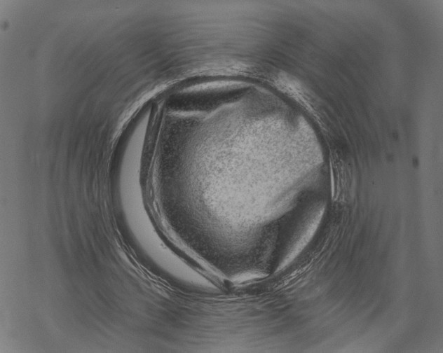 X0000067920531200605041711