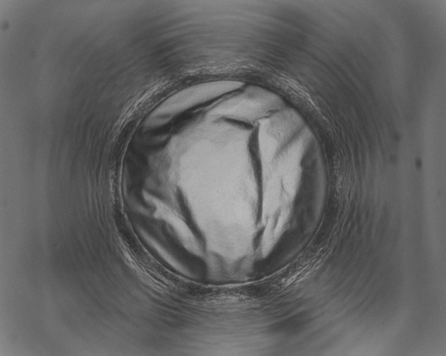 X0000067920542200605041711