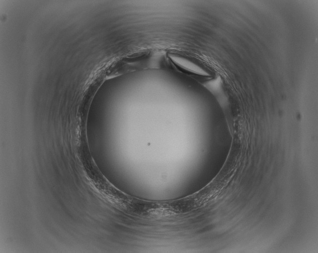 X0000067920544200605041712
