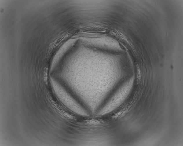 X0000067920545200605041712