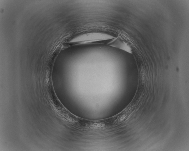 X0000067920546200605041712