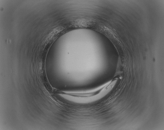 X0000067920548200605041712
