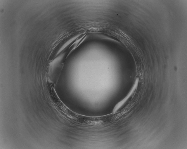 X0000067920552200605041712