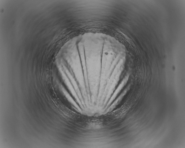X0000067920553200605041712