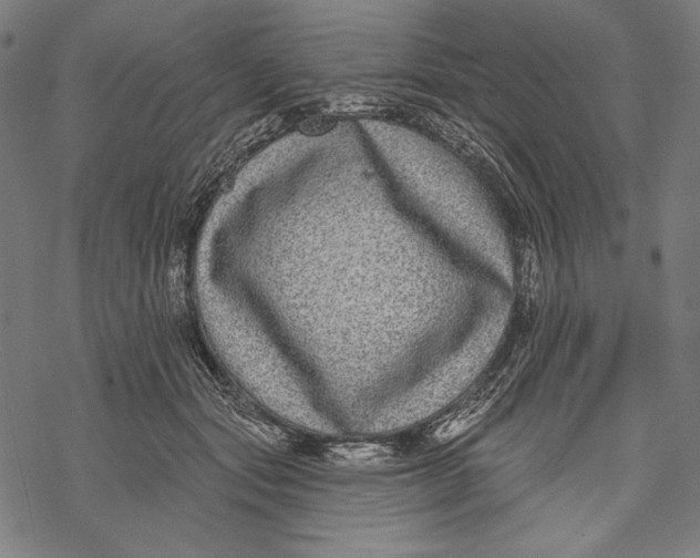 X0000067920557200605041712