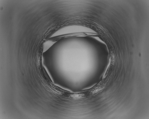 X0000067920558200605041712