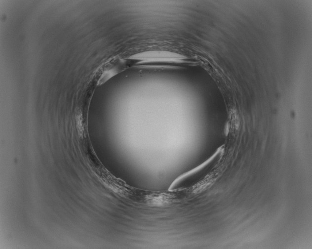 X0000067920564200605041712