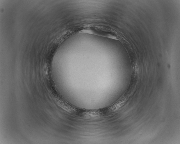 X0000067920567200605041712