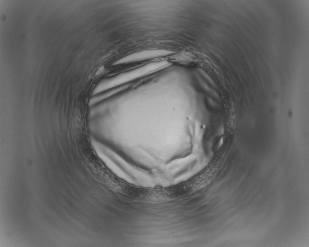 X0000067920569200605041712