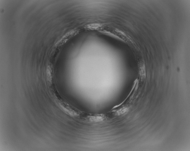 X0000067920572200605041712
