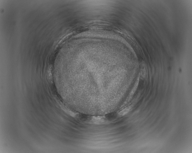 X0000067920573200605041712