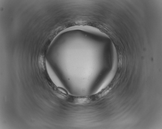X0000067920575200605041712