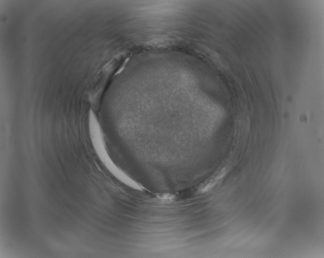 X0000067920576200605041712