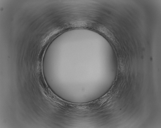 X0000067920583200605041711