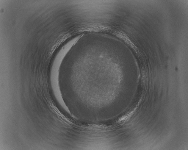 X0000067920585200605041711