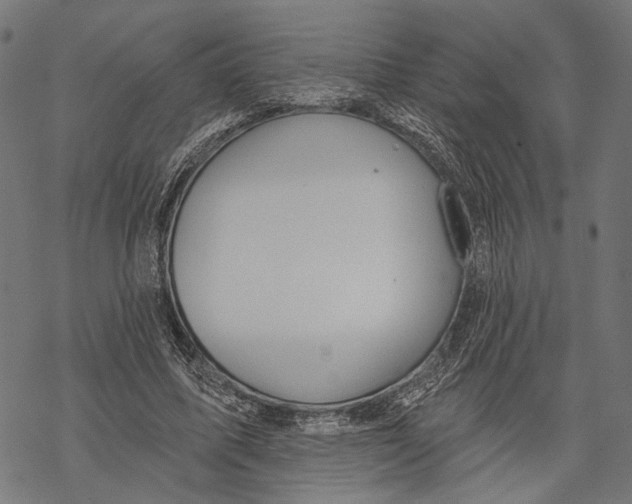 X0000067920587200605041711