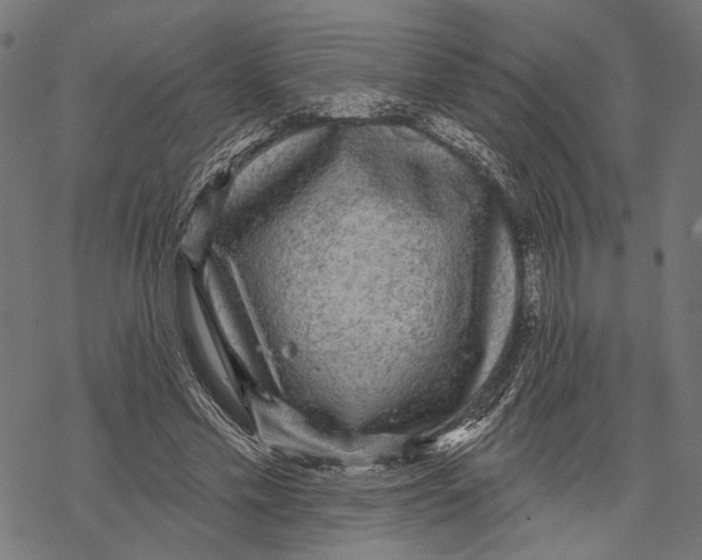 X0000067920589200605041711