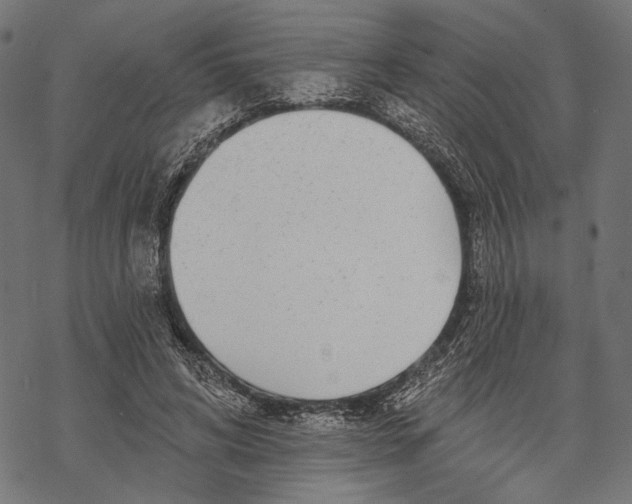 X0000067920592200605041711