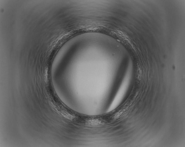 X0000067920596200605041711