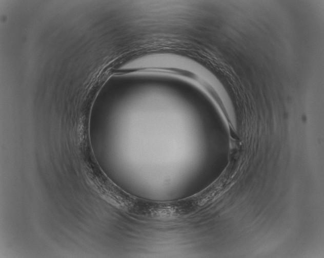 X0000067920600200605041711