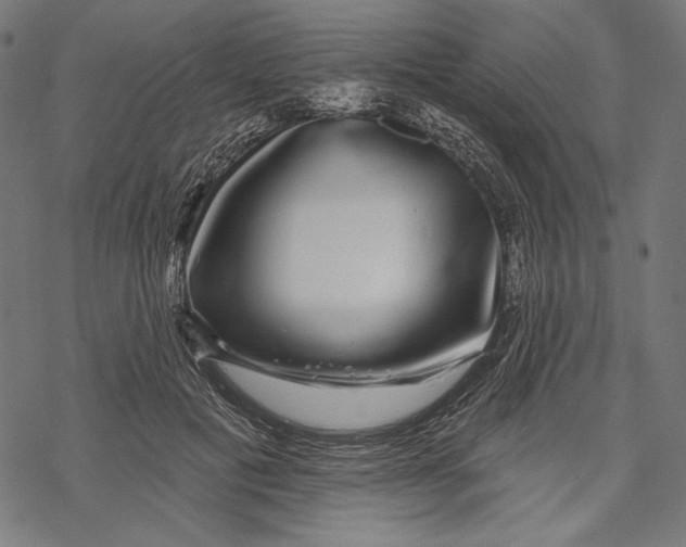 X0000067920601200605041711