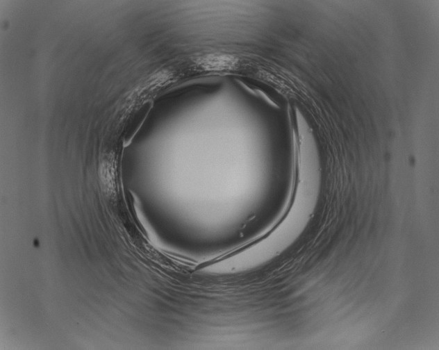 X0000067920604200605041711